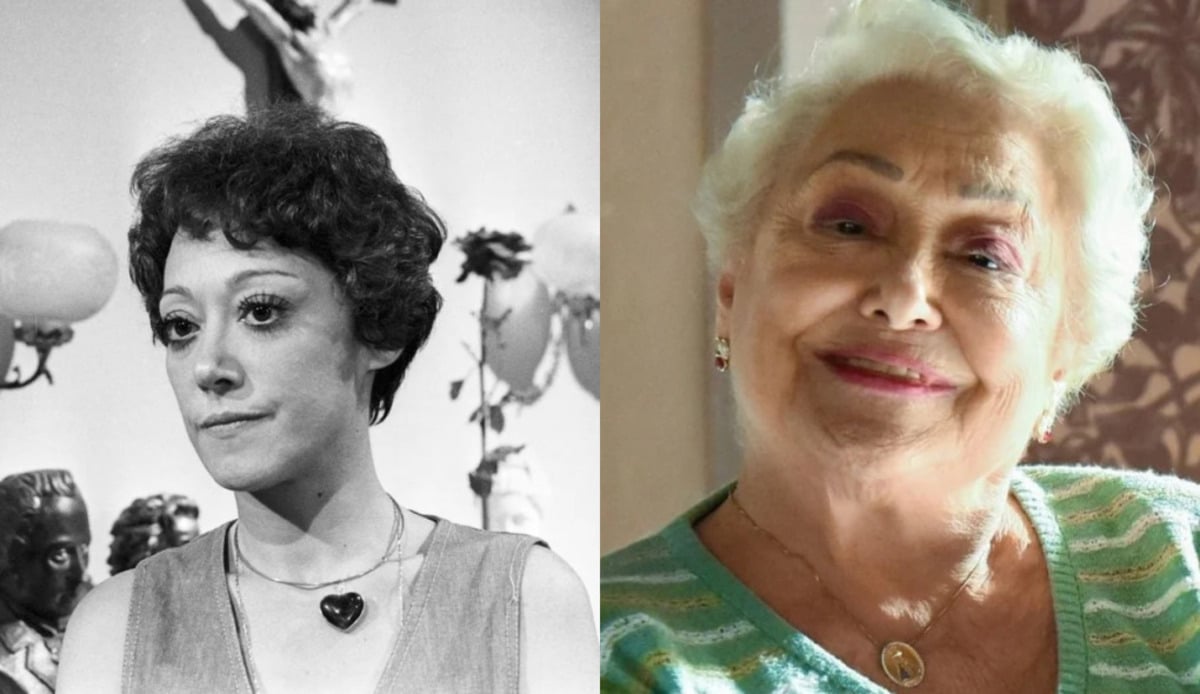 Suely Franco tem décadas de televisão brasileira, e teve inúmeros trabalhos de sucesso (Foto Reprodução/Montagem/Fatos da TV)