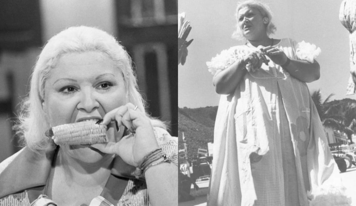 Wilza Carla como Redonda em "Saramandaia" (1976) da Globo - (Foto Reprodução/Internet/Montagem Fatos da Tv)